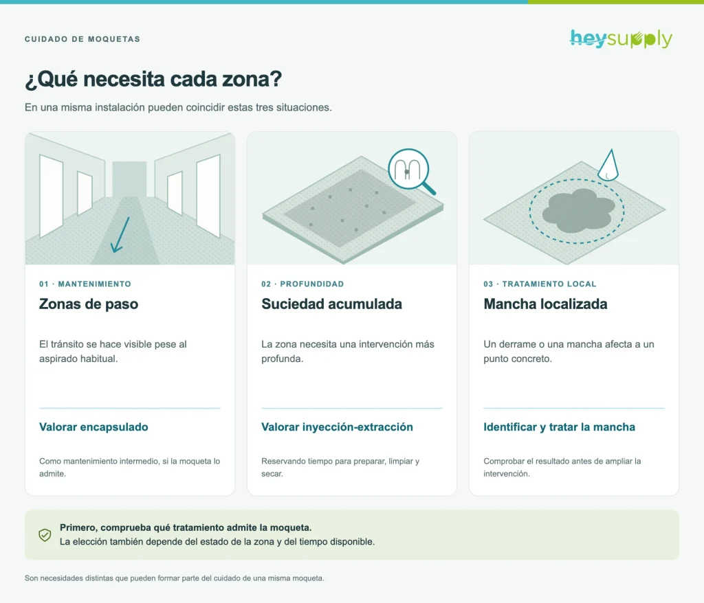 cuidado de moquetas